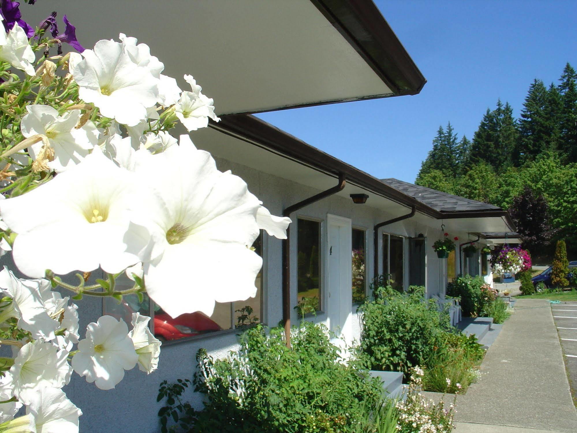 Sunset Motel Port Alberni Ngoại thất bức ảnh