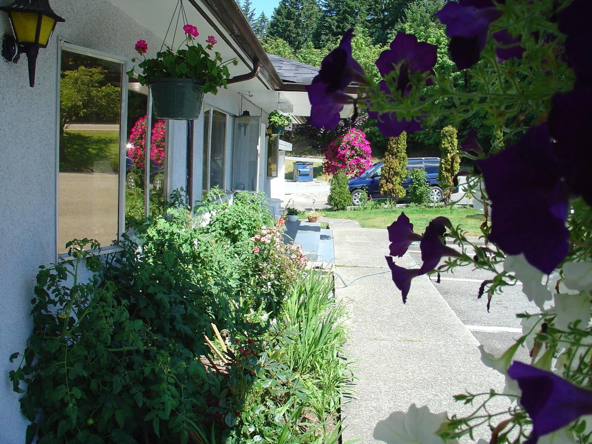 Sunset Motel Port Alberni Ngoại thất bức ảnh